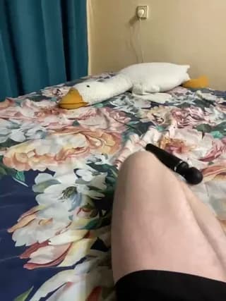 -Breid-1 - bongacams