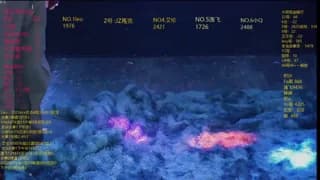 AAA-winner - stripchat