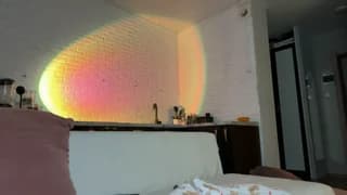 Al1ce_Fox - stripchat