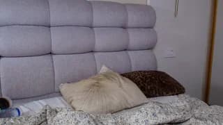 Alice_N_Wooderland - stripchat