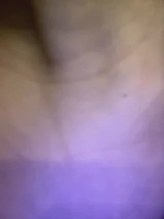 Alyshanon18 - stripchat