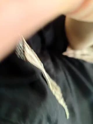 BlackWhite2000 - bongacams