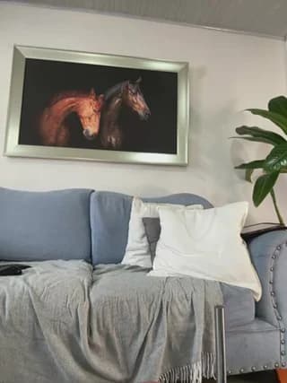 Bustykeyla - stripchat