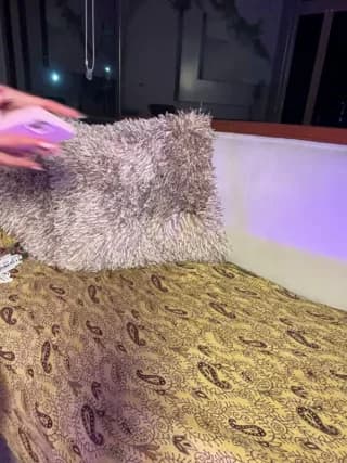 CamiTeaseX_ - stripchat