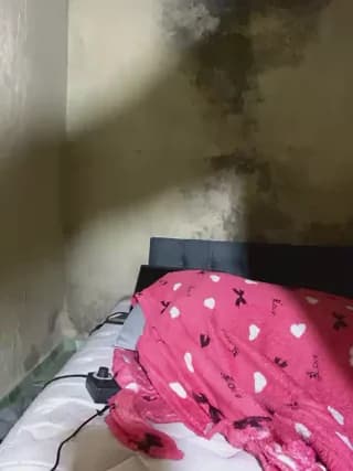 Chloe_Leaozinho - stripchat