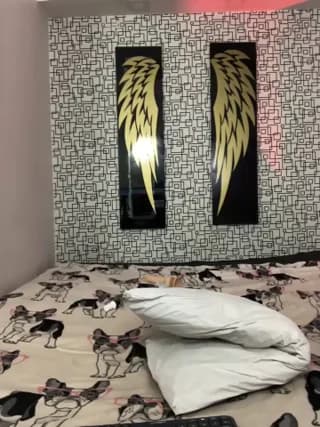 Demon_foxes - stripchat