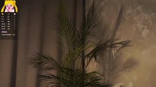 EdlinHargus - stripchat