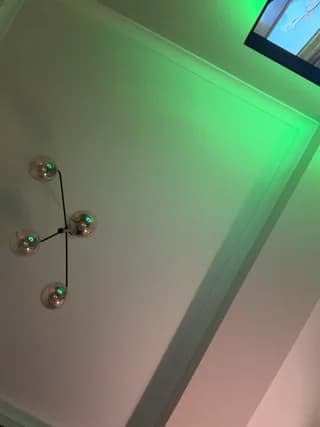 Kotofeyka1 - bongacams