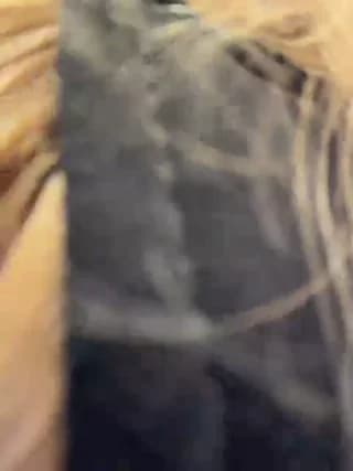 Likachkaa - bongacams