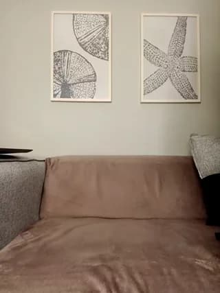 LollyPop_23 - stripchat