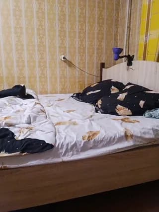 Lyda27081 - bongacams