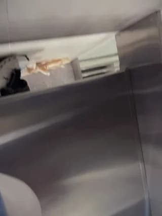 Naim_TheKing - stripchat