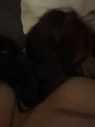 Noha-Sexy - stripchat