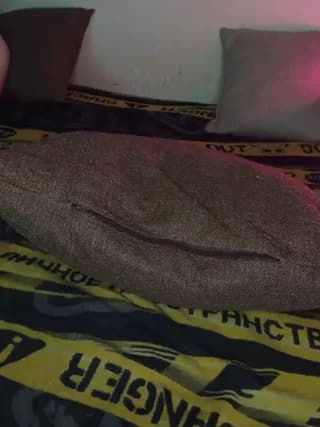 Plohishi2 - bongacams