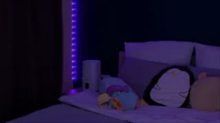 Sasha_Mason - stripchat