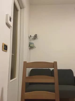 Sashabunny - stripchat