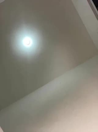 SereiaHott - stripchat