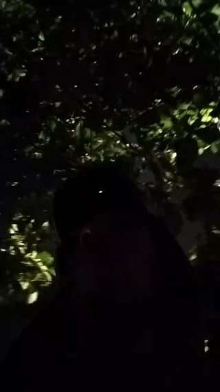 Sexylatinogay - cam4