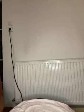 SophiiaStarr - stripchat