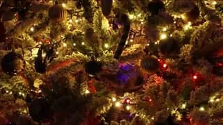 VitoriaCarusso - stripchat