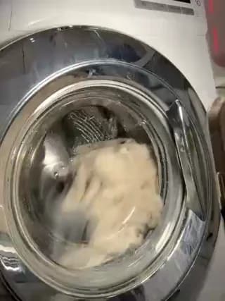 XEye_CandyX - stripchat