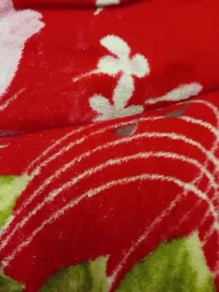 Yna-and-Yn - bongacams