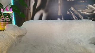 aliessia - chaturbate
