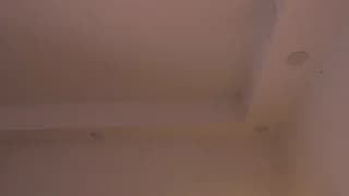 alissa_wxw - chaturbate