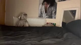 allanarey151 - chaturbate