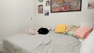 ariah_is_blonde - chaturbate