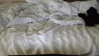 curlydelicious - chaturbate