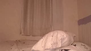 haidyhaven - chaturbate