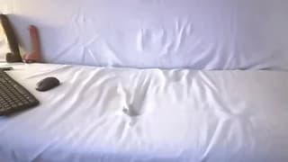 lilo_vanillix - chaturbate