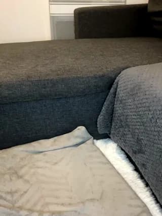 liloush__ - stripchat