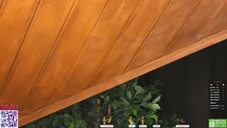 lissa_meooow - chaturbate