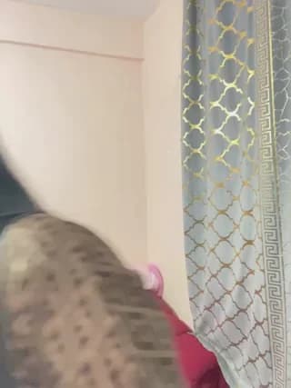 mari_layali - stripchat