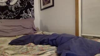 meganstacy - chaturbate