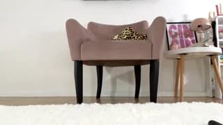 meowlina - chaturbate