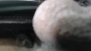 rosemaravilla3 - cam4