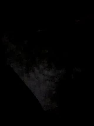 royalgirls_x - stripchat