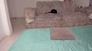 sashadry - chaturbate