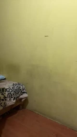 sissy420putita - cam4