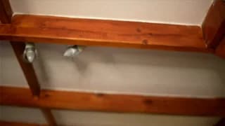 stella_shock - chaturbate