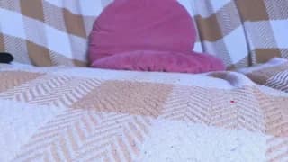 sweet_69billy - chaturbate