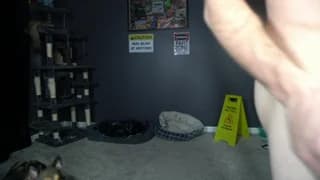 sydaffect - chaturbate