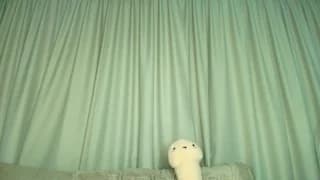 velveeta - bongacams