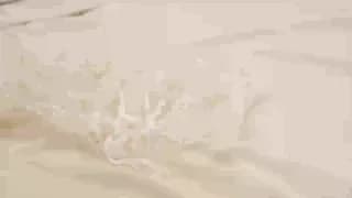 villanelle_l - chaturbate