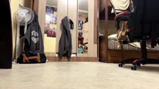 willenasow - chaturbate