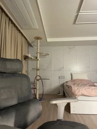 winter11 - stripchat