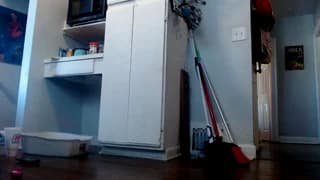 zaddyslilslutbucket - chaturbate